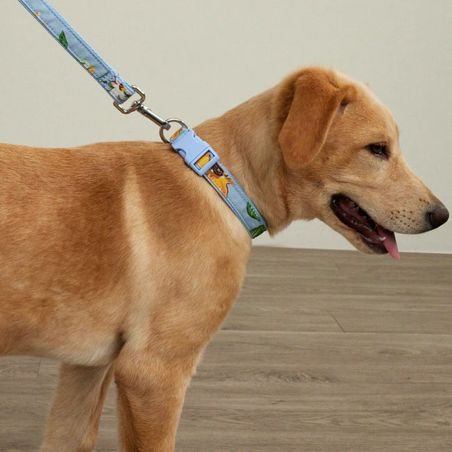 Pet Leash-Tennis Ball Dots-Image 1-Vera Bradley