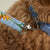 Pet Leash-Tennis Ball Dots-Image 5-Vera Bradley