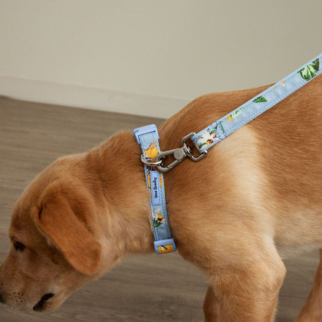 Pet Leash-Sunflower Sky-Image 1-Vera Bradley