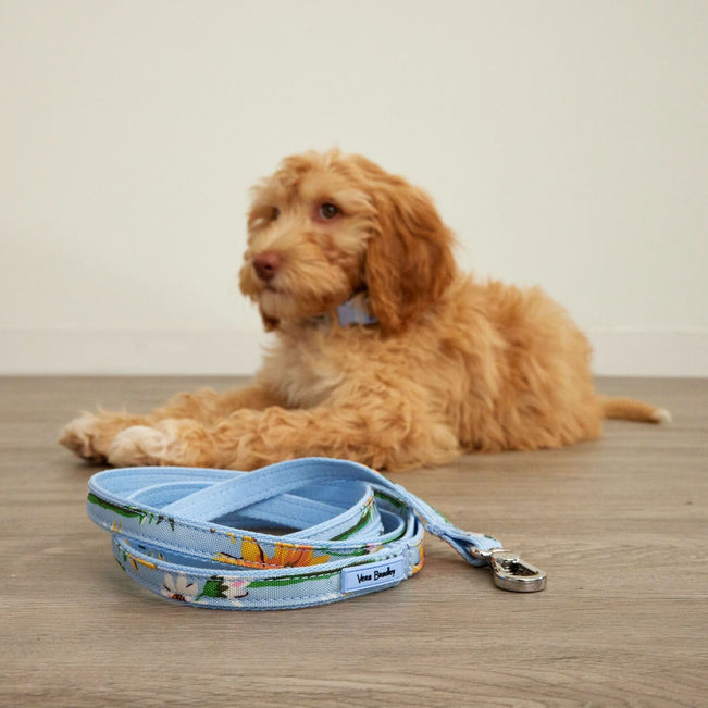 Pet Leash-Sunflower Sky-Image 2-Vera Bradley