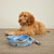 Pet Leash-Sunflower Sky-Image 2-Vera Bradley