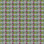 n_sm_22581.jpg
