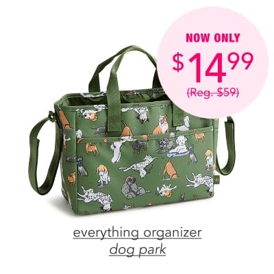 Outlet Everything Organizer