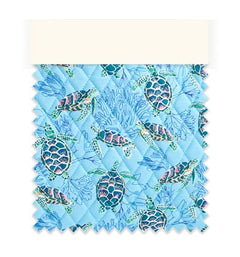 Sea Turtles and Coral