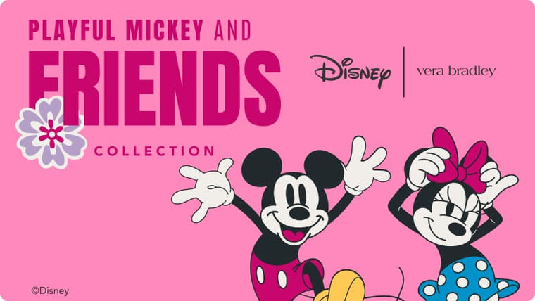 Disney Playful Mickey & Friends Collection